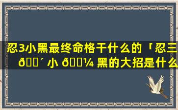 忍3小黑最终命格干什么的「忍三 🌴 小 🌼 黑的大招是什么」